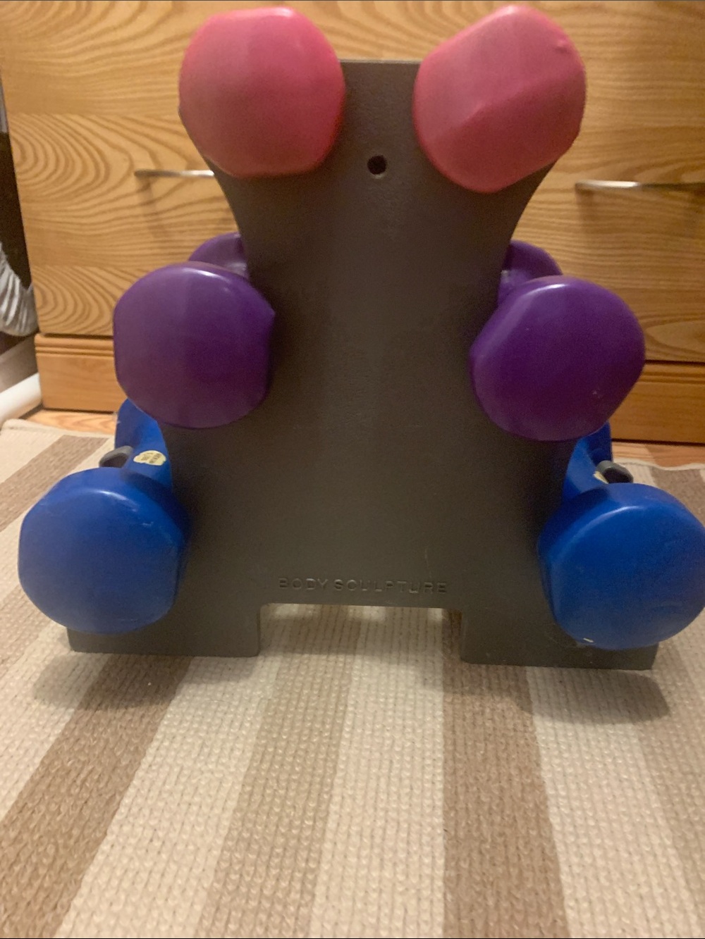 Kids Dumbbell Set in Pink, Purple & Blue